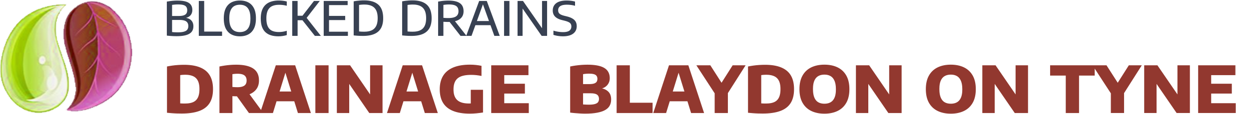 website logo
